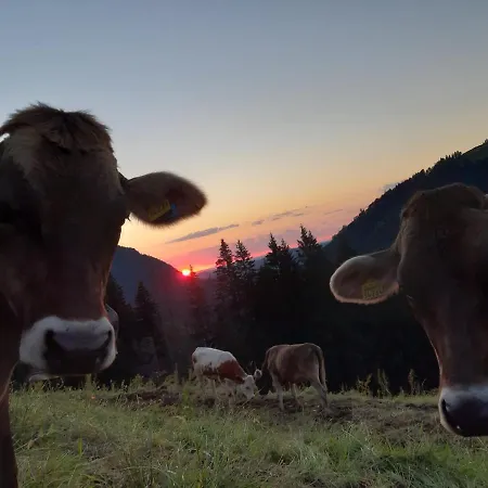 度假居 Rasch 梅尔霍芬