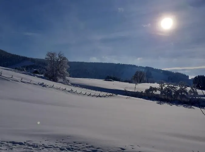 Rasch Maierhöfen